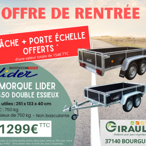BACHE ET PORTE ÉCHELLE OFFERTS - REMORQUE BOIS LIDER 45450 DOUBLE ESSIEUX