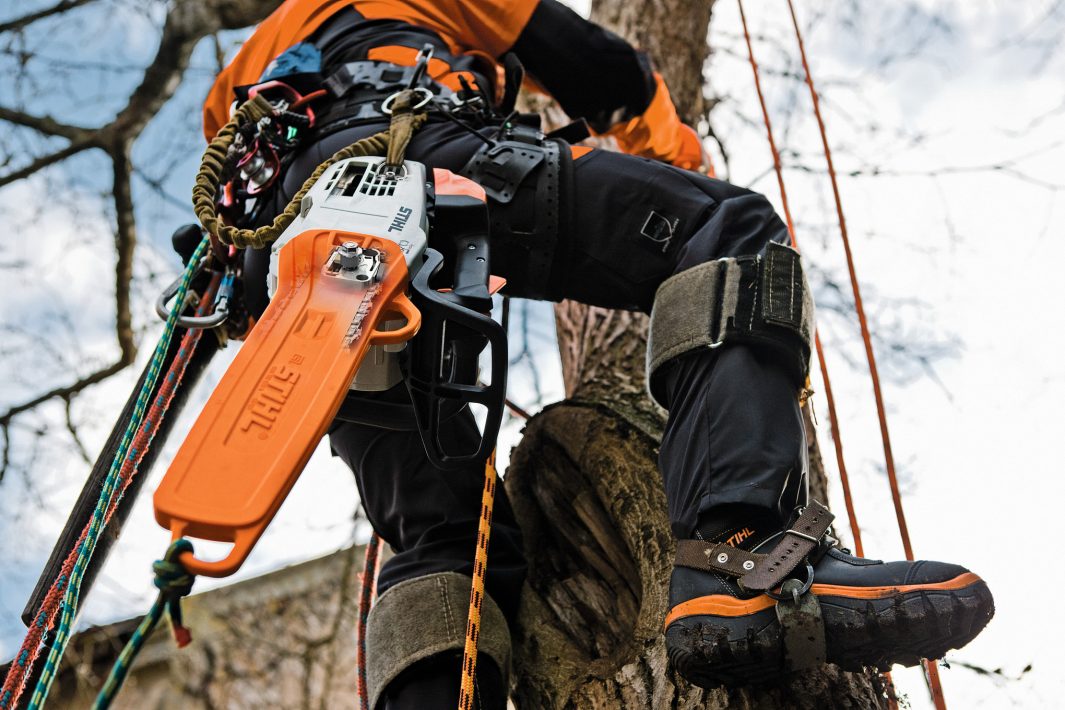 TRONÇONNEUSE ÉLAGUEUSE MS 201 TC-M STIHL – Image 2