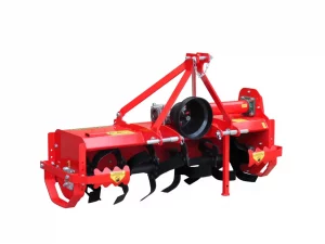 FRAISE TANGO 105 DEL MORINO